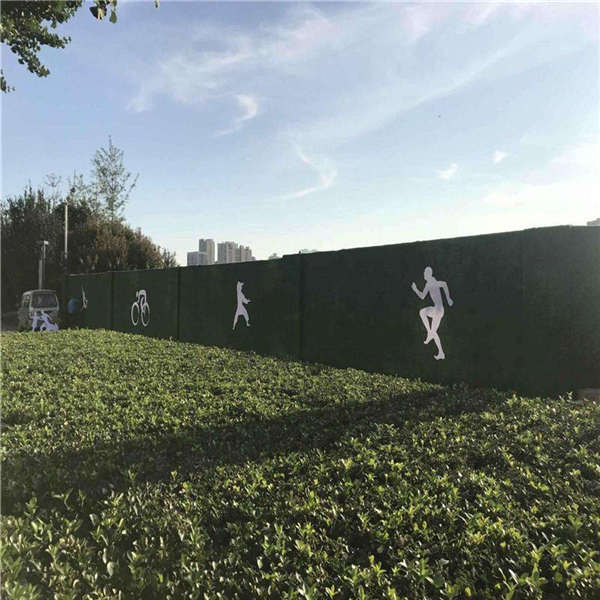 泓宸輝墻面仿真草坪 彩虹跑道裝飾草 運動休閑草皮場地安裝測量