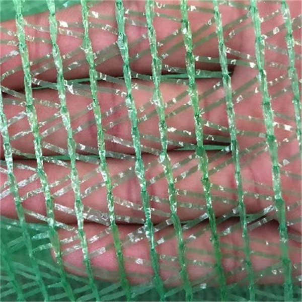 泓宸輝黑色大棚防曬網 蓋土綠網防塵 路面施工塑料網