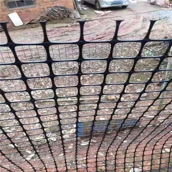 聚丙烯塑料網(wǎng) 加厚方格子土工格柵 小孔防鼠網(wǎng)圍欄4米寬