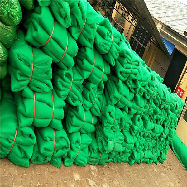 2*6米建筑密目網(wǎng) 工地防墜阻燃安全網(wǎng) 聚乙烯外墻掛網(wǎng)